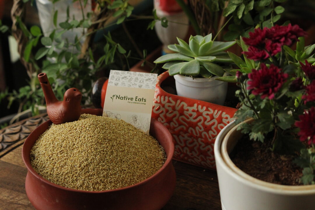 Browntop Millet / Hari Kangi / Andu Korralu