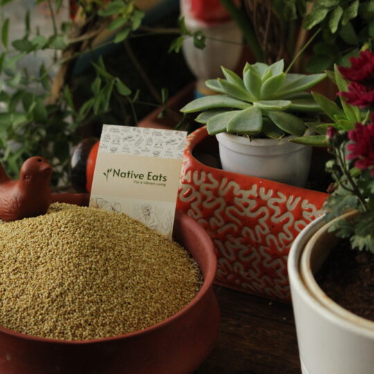 Browntop Millet / Hari Kangi / Andu Korralu
