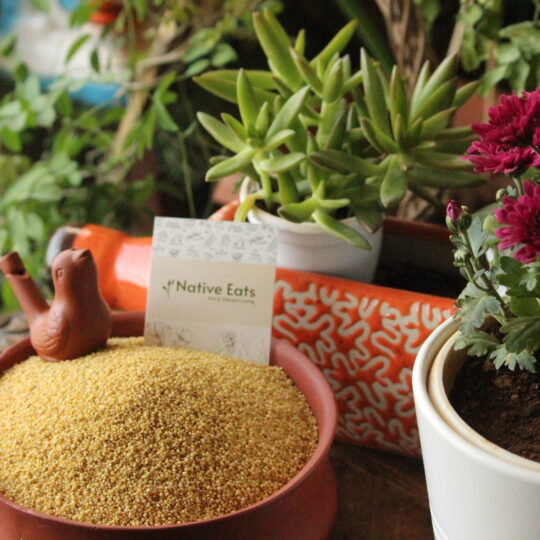 Foxtail Millet / Kakum / Korralu