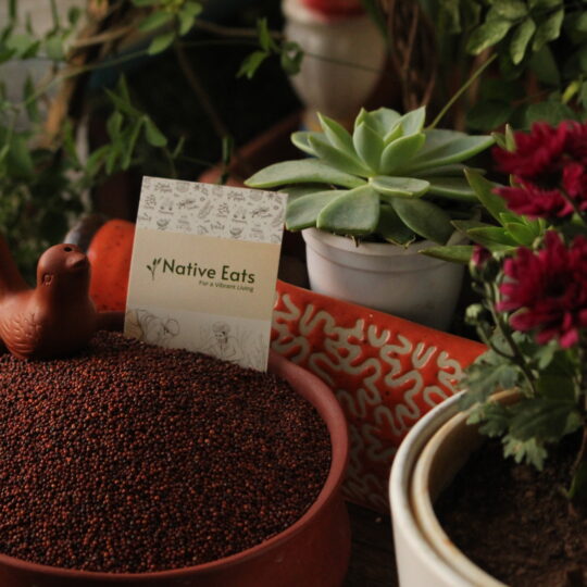 Finger Millet / Ragi / Ragulu