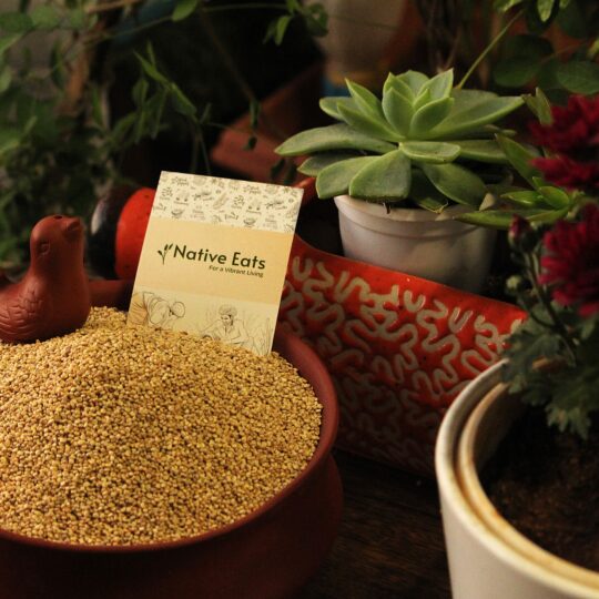 Quinoa
