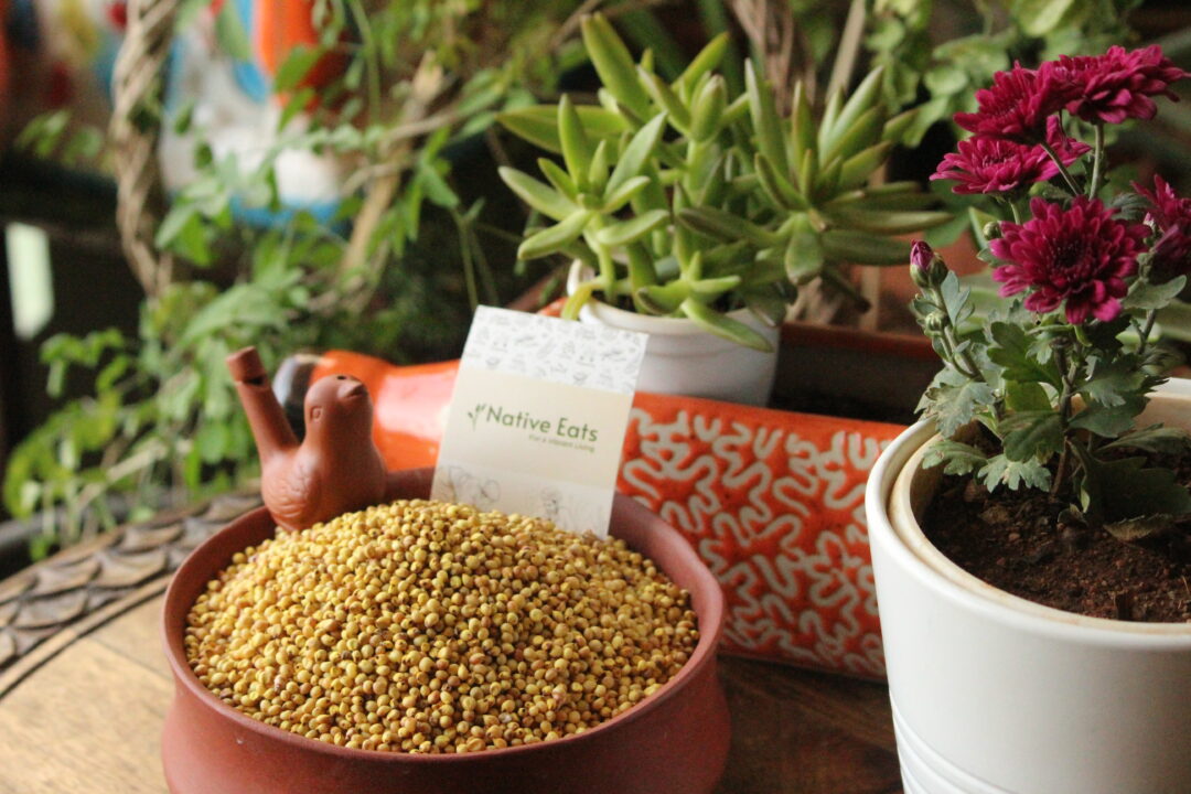 Yellow Sorghum/Jowar/Pacha Jonnalu