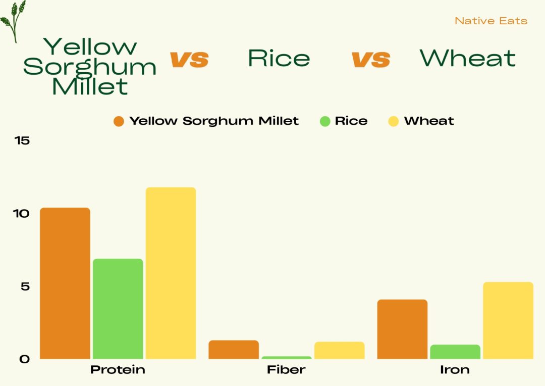 Yellow Sorghum/Jowar/Pacha Jonnalu - Image 3